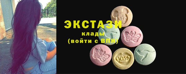 a pvp Бородино