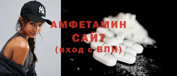 a pvp Бородино