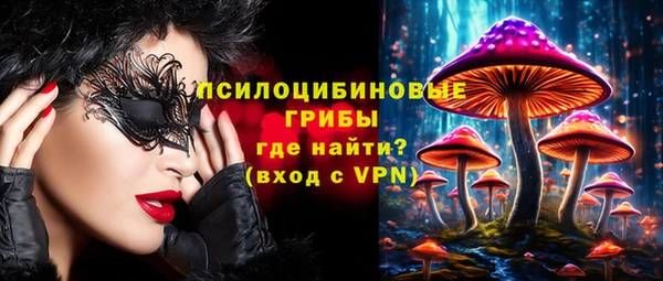 a pvp Бородино