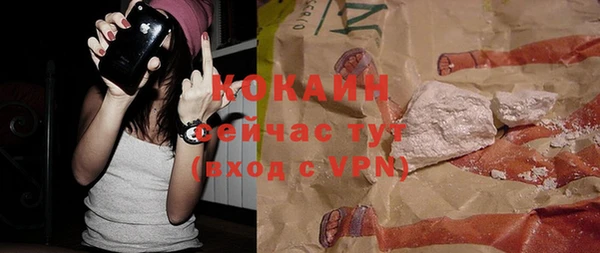 a pvp Бородино
