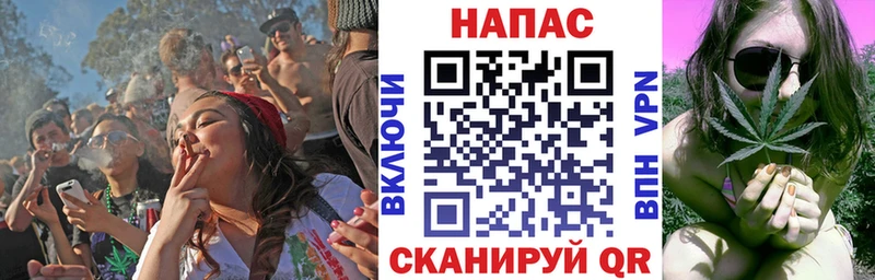 Бошки марихуана OG Kush Новосиль